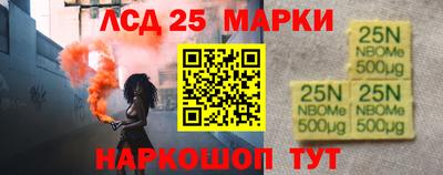 скорость Новозыбков