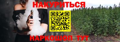 скорость Новозыбков