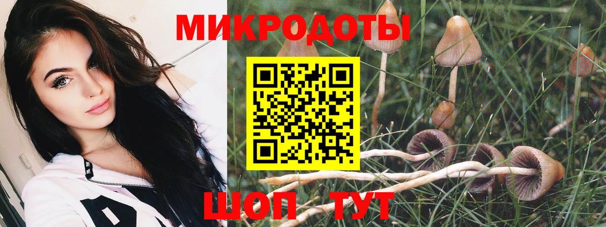 Ступино  Псилоцибиновые грибы Magic Shrooms  Галлюциногенные грибы мухоморы  Вход с VPN 